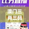澳门三肖三码精准100%管家婆管家婆,探索新机遇的未来之路_潮流品.4.655